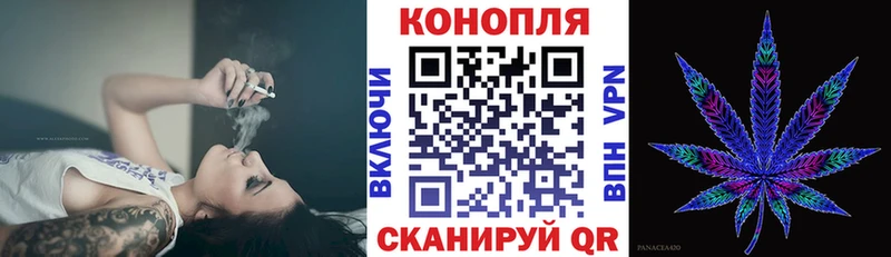 Лсд 25 Карасук