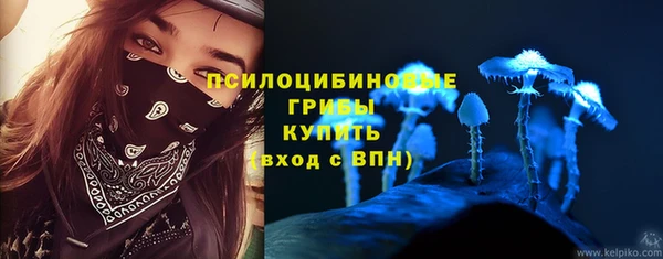 гидропоника Горно-Алтайск