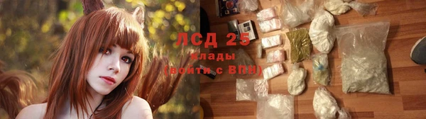дмт Арсеньев